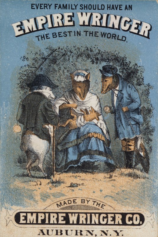 Yavrulu Giysili Tilkiler by American School