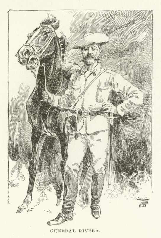 General Rivera by American School