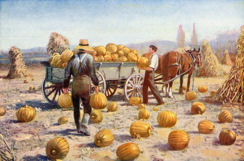  by American School