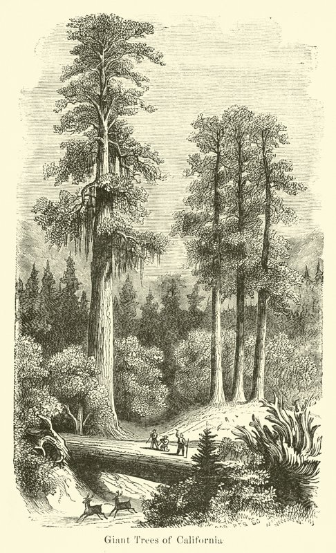 Kaliforniya