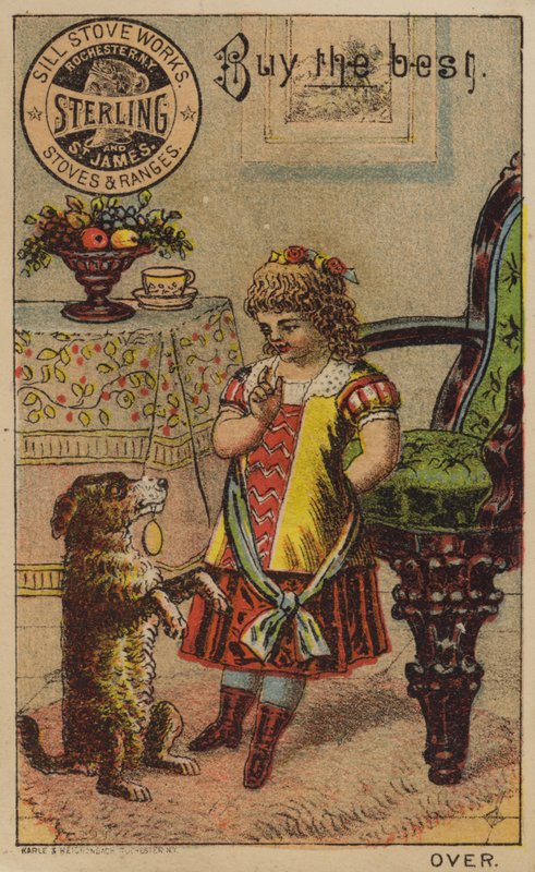Kız ve Dilenci Köpek by American School