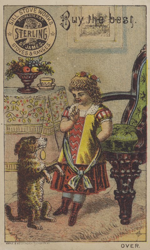 Köpeğe dilenmeyi öğreten kız by American School