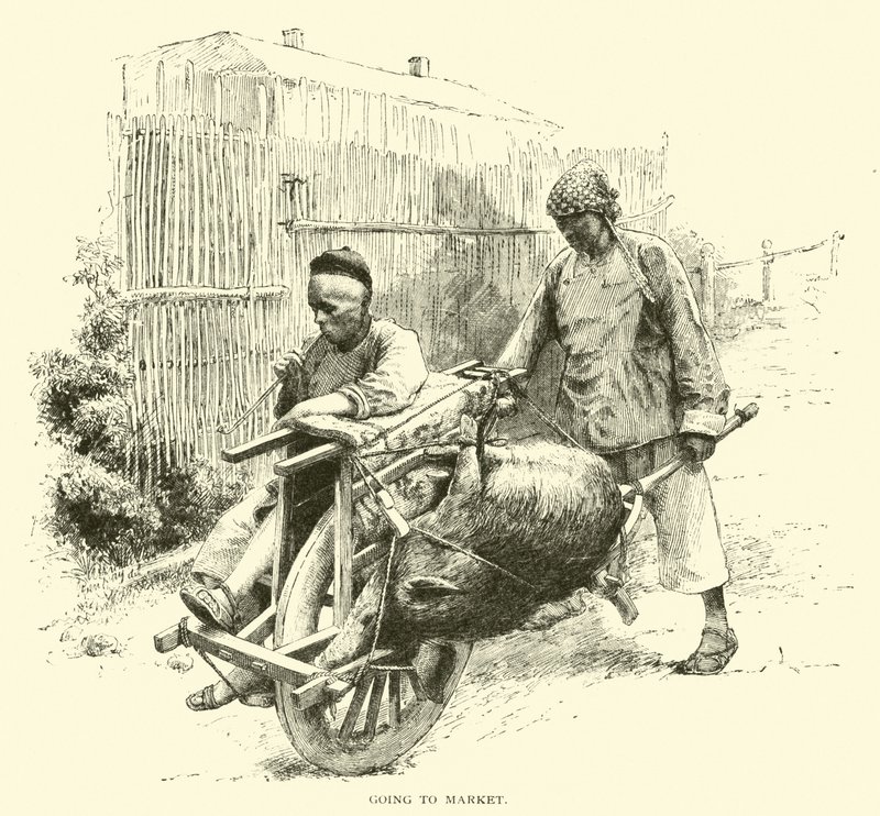 pazara gitmek by American School
