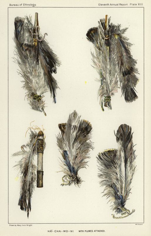Ha-Cha-Mo-Ni with plumes attached by American School
