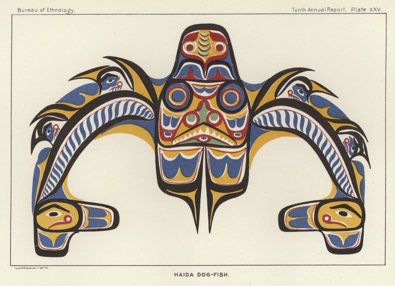 Haida köpek balığı by American School