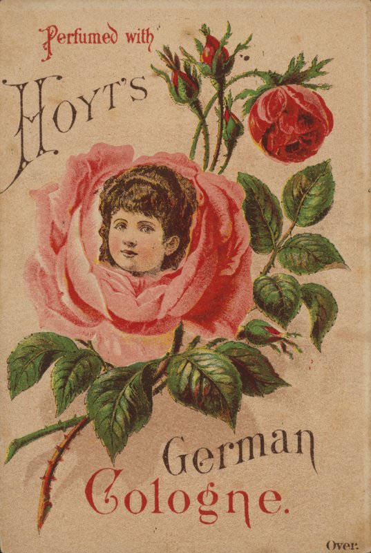 Hoyts Alman Köln by American School