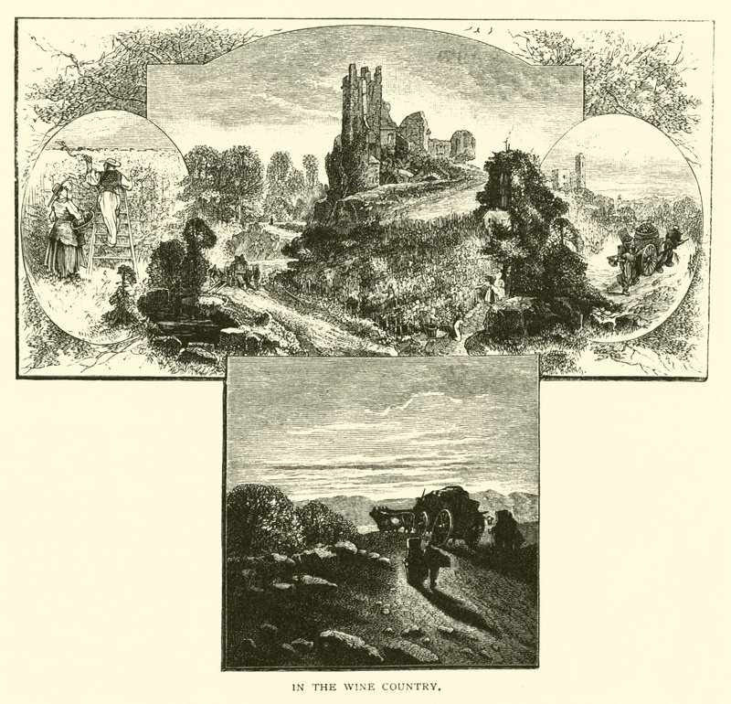 Şarap Ülkesinde by American School