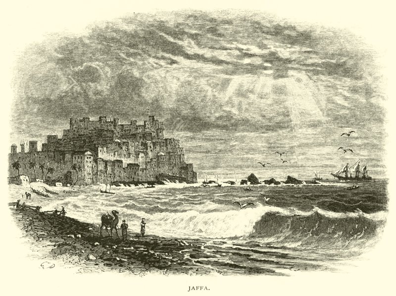 yafa by American School