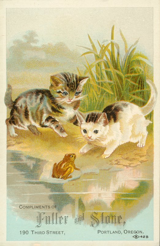  by American School