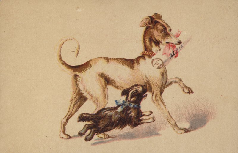 Büyük ve küçük köpek koşuyor by American School
