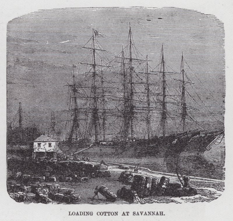 Savannah