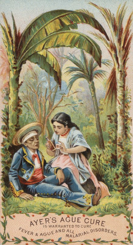 Sıtmalı adam by American School