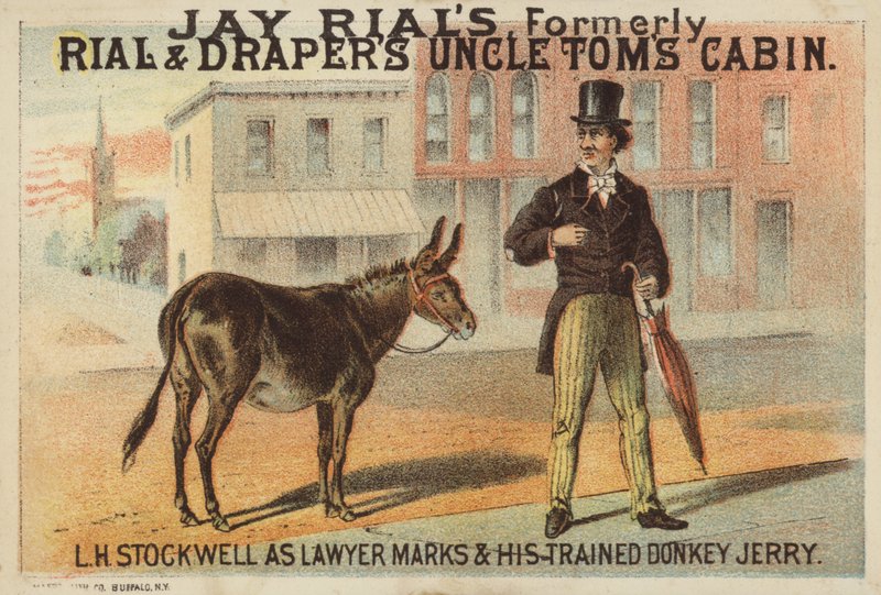adam ve eşek by American School