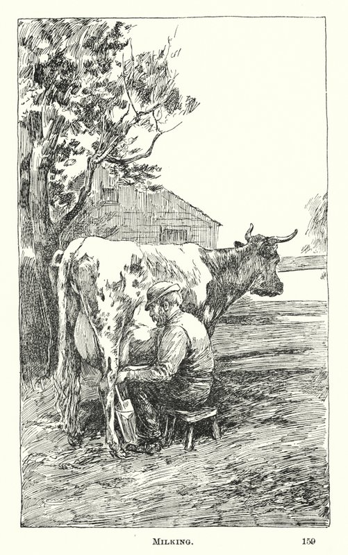 Sağım (gravür) by American School