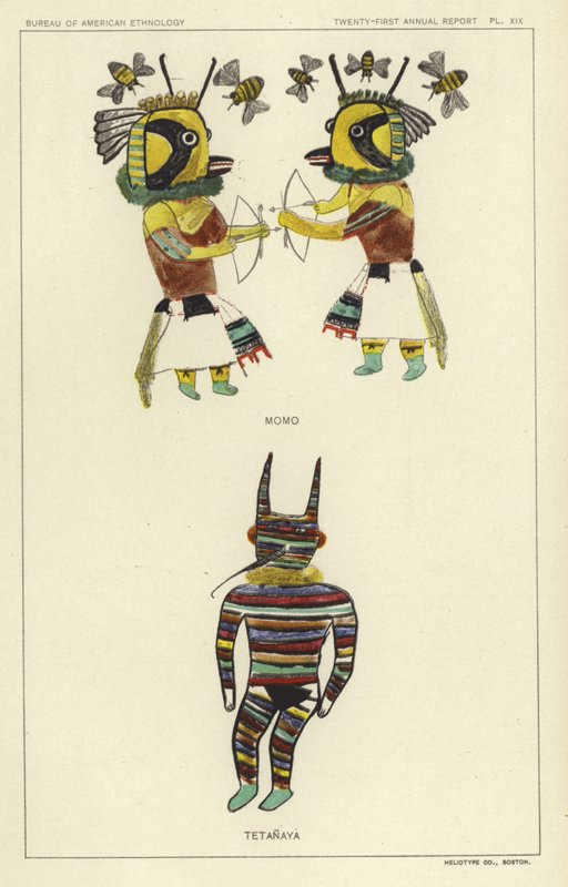 Momo, Tetanaya (renkli lito) by American School