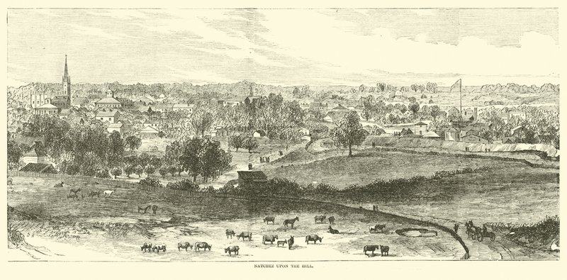 Tepede Natchez, Mayıs 1862 by American School