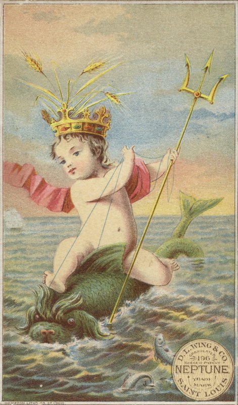 Neptün by American School