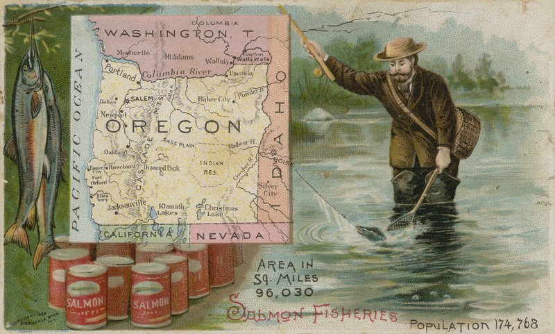 Oregon - Somon Balıkçılığı by American School