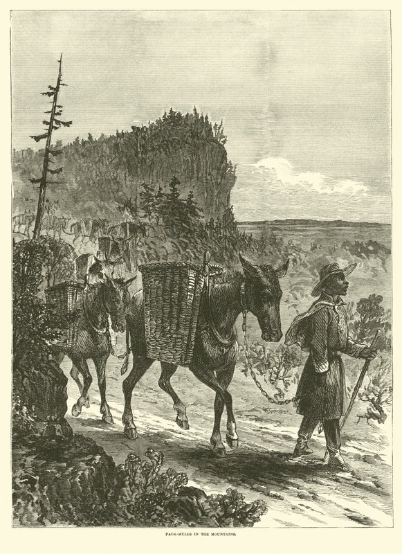 Dağlarda paket katırlar, Şubat 1863 by American School