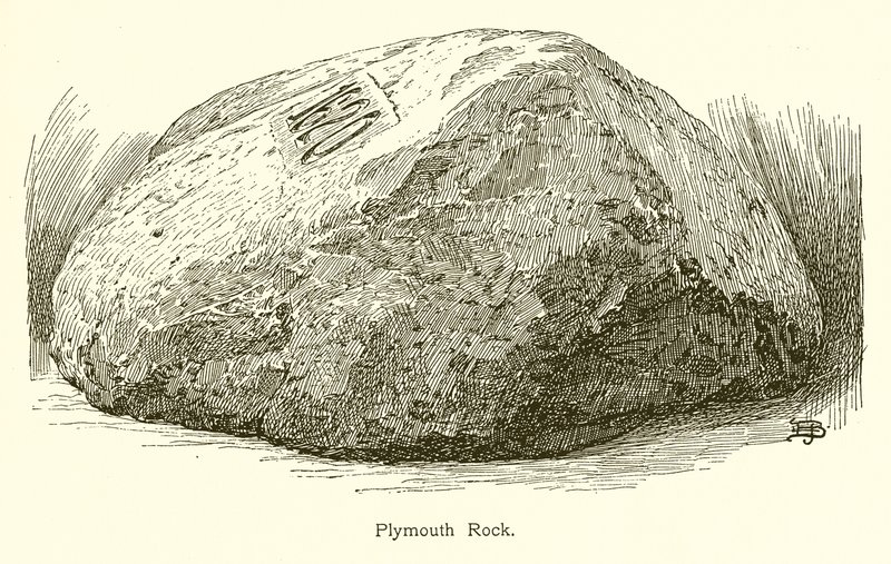 Plymouth Kayası by American School