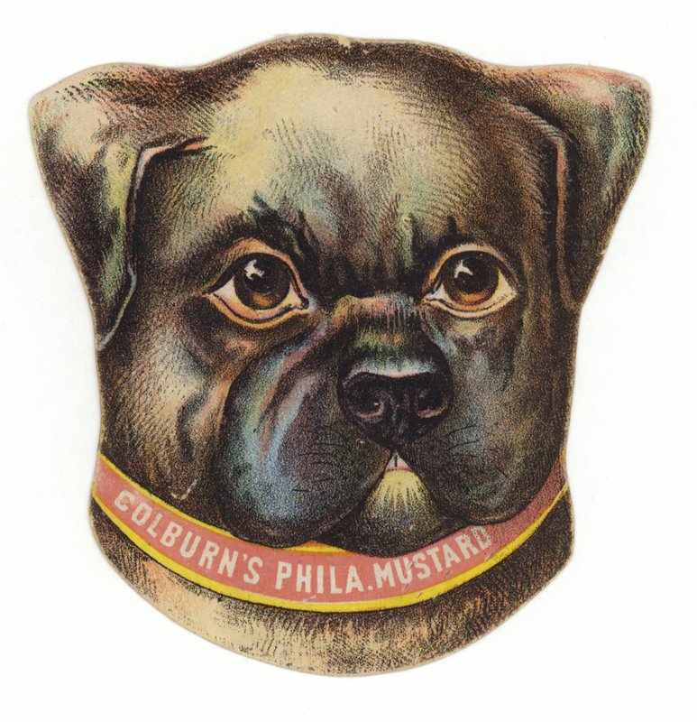 Pug köpek kafası by American School