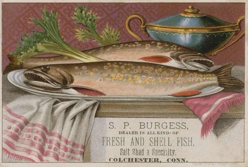 SP Burgess, ticaret kartı by American School