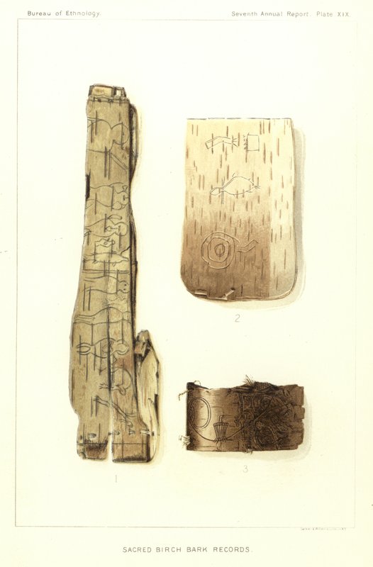 Kutsal Huş Kabuğu Kayıtları by American School