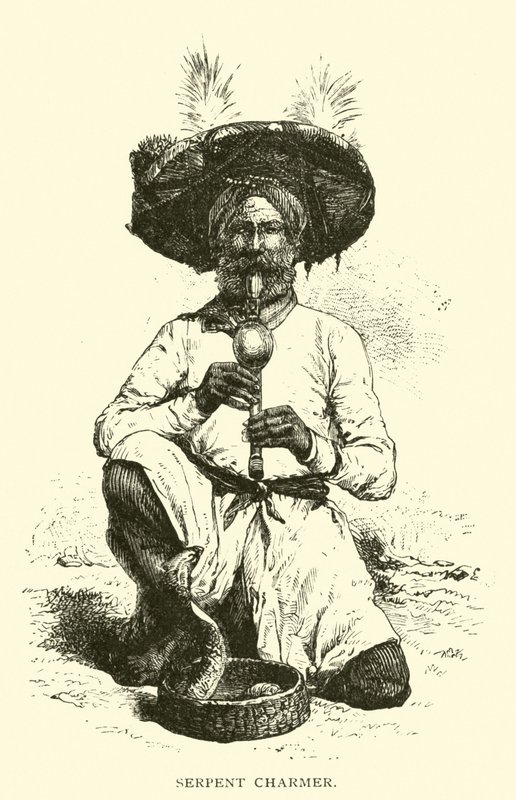 yılan cazibesi by American School