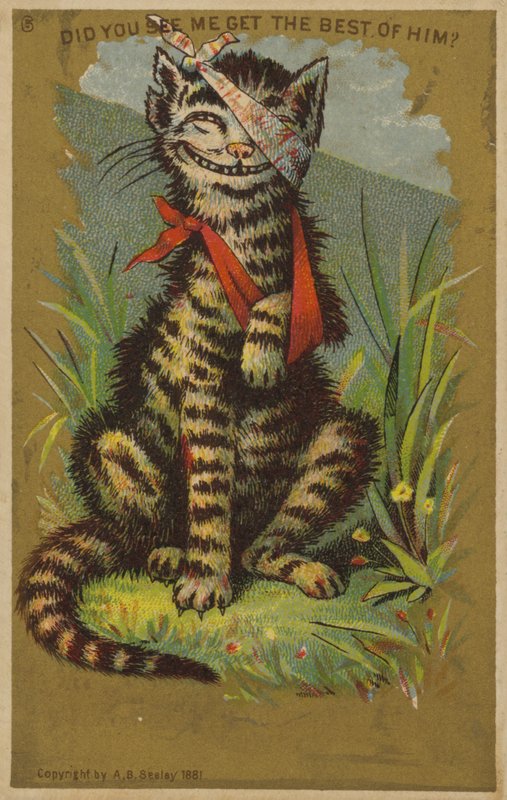 Yaralı Sırıtan Kedi by American School