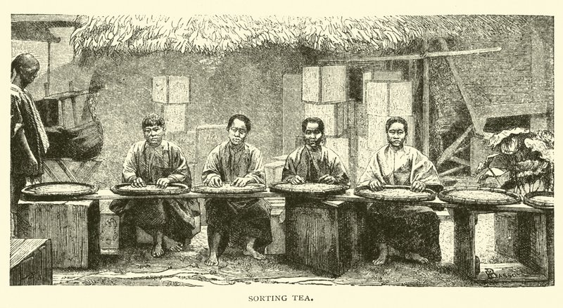 çay sıralama by American School