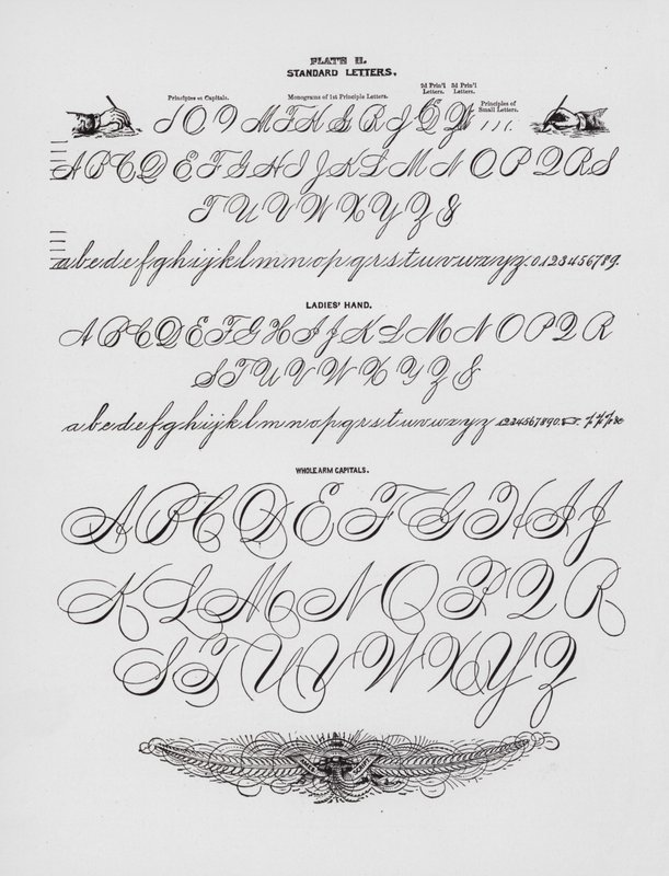 Standart Harfler; Bayan Eli; Tüm Kol Başlıkları (gravür) by American School
