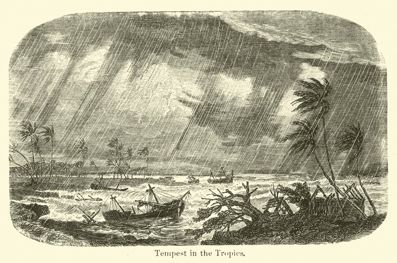 Tropiklerde Fırtına by American School