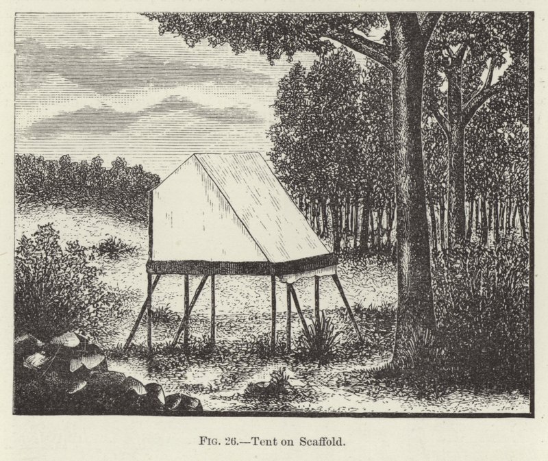 İskele Üzerinde Çadır by American School