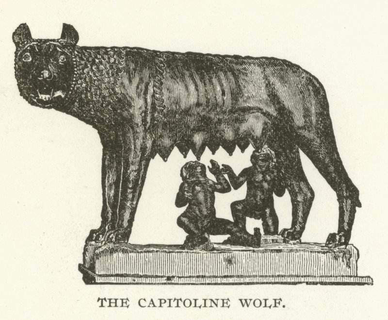 Capitoline Kurt by American School