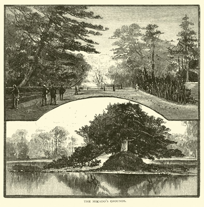 Mikados Sahası by American School
