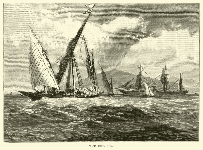 Kızıldeniz by American School