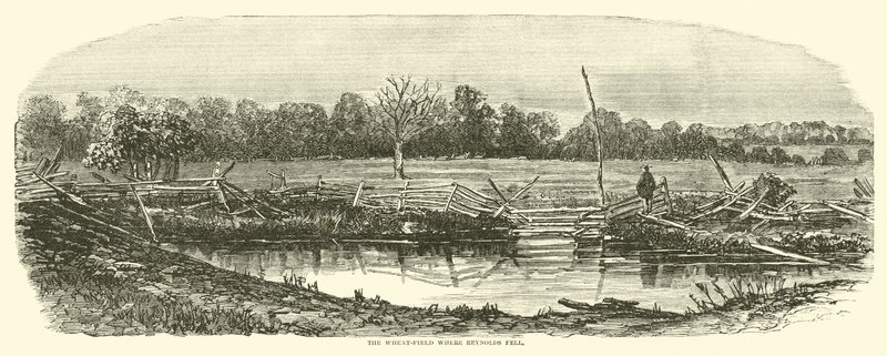 Reynolds