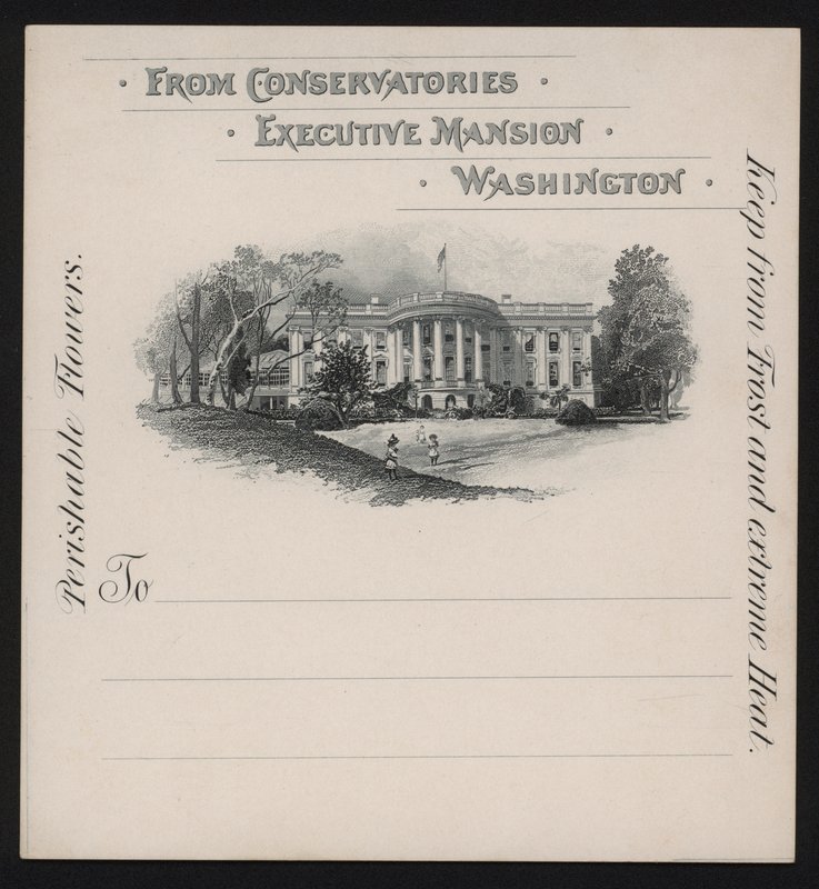 Beyaz Saray, Washington DC, ABD (taş) by American School