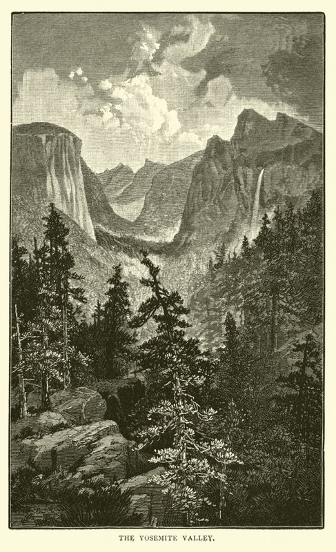 Yosemite Vadisi by American School