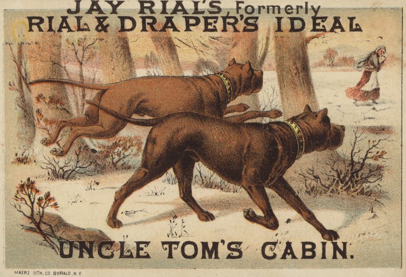 Ormanda İki Köpek by American School