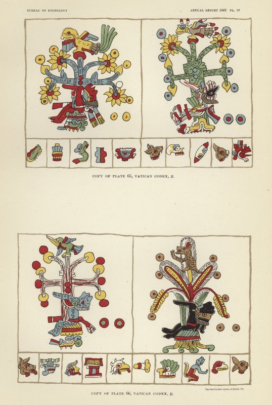 Vatikan Kodeksi by American School