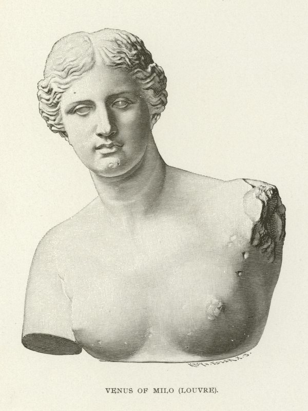 Milo Venüsü, Louvre by American School