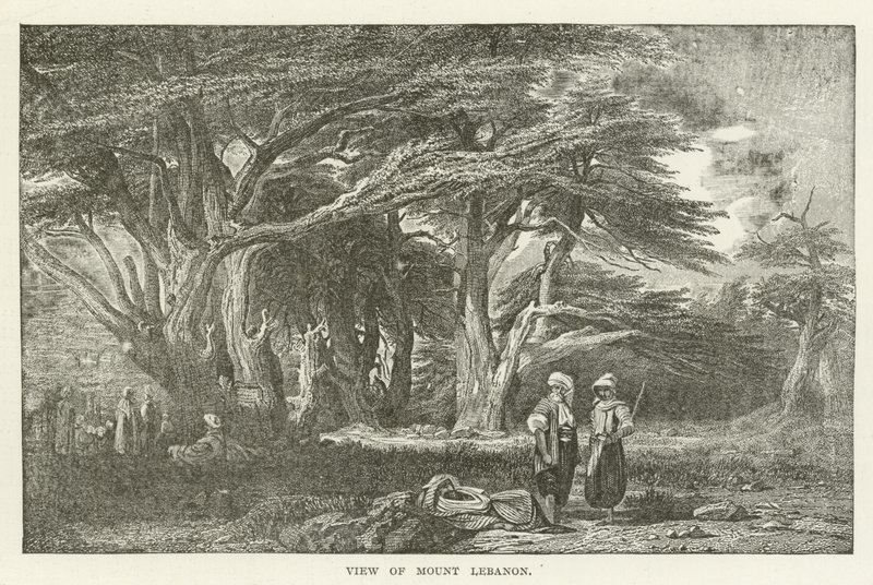 Lübnan Dağı