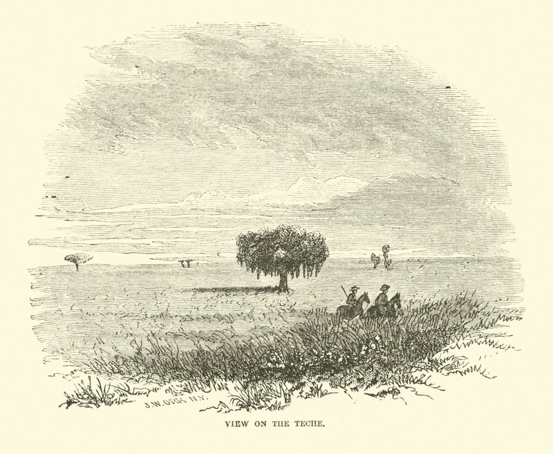 Teche