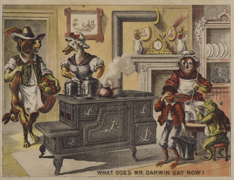 Bay Darwin şimdi ne diyor? (kromolito) by American School
