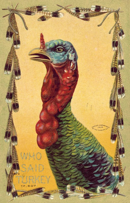 Kim dedi Türkiye, Şükran Günü kartı by American School