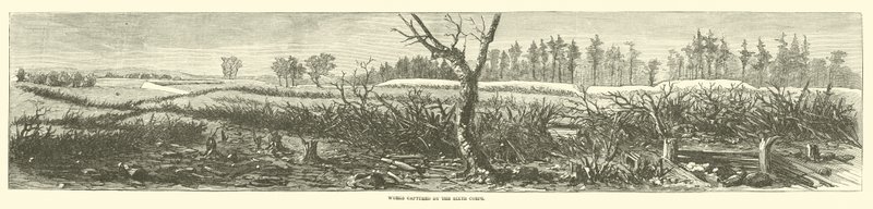 Altıncı Kolordu, 1865 Nisan tarafından yakalanan eserler by American School