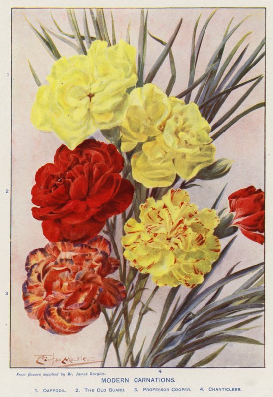  by Angelo Fairfax Muckley