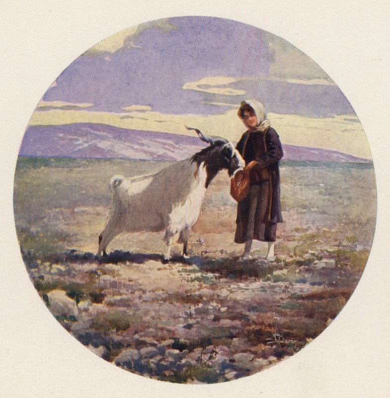 Keçi çobanı, Attika, Yunanistan (renkli taş) by Angelos Giallinos