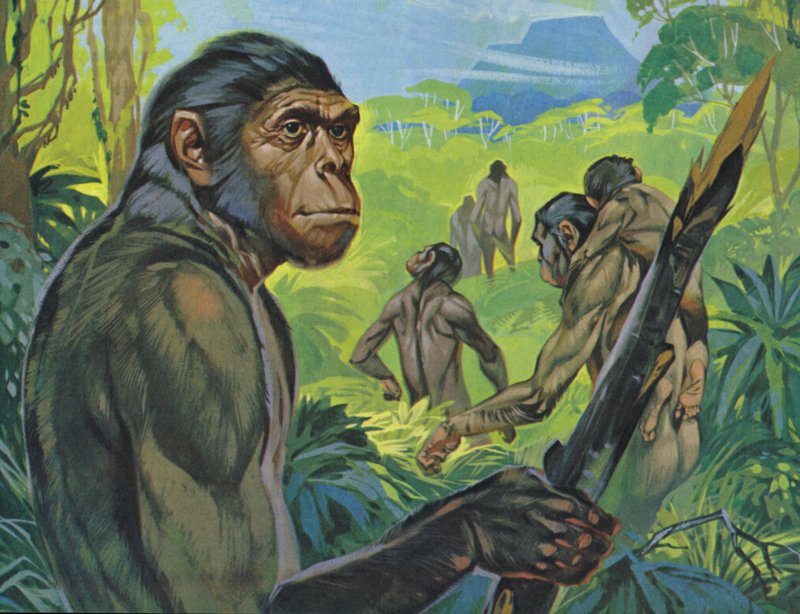 Pithecanthropus (renkli lito) by Angus McBride